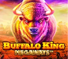 Buffalo King